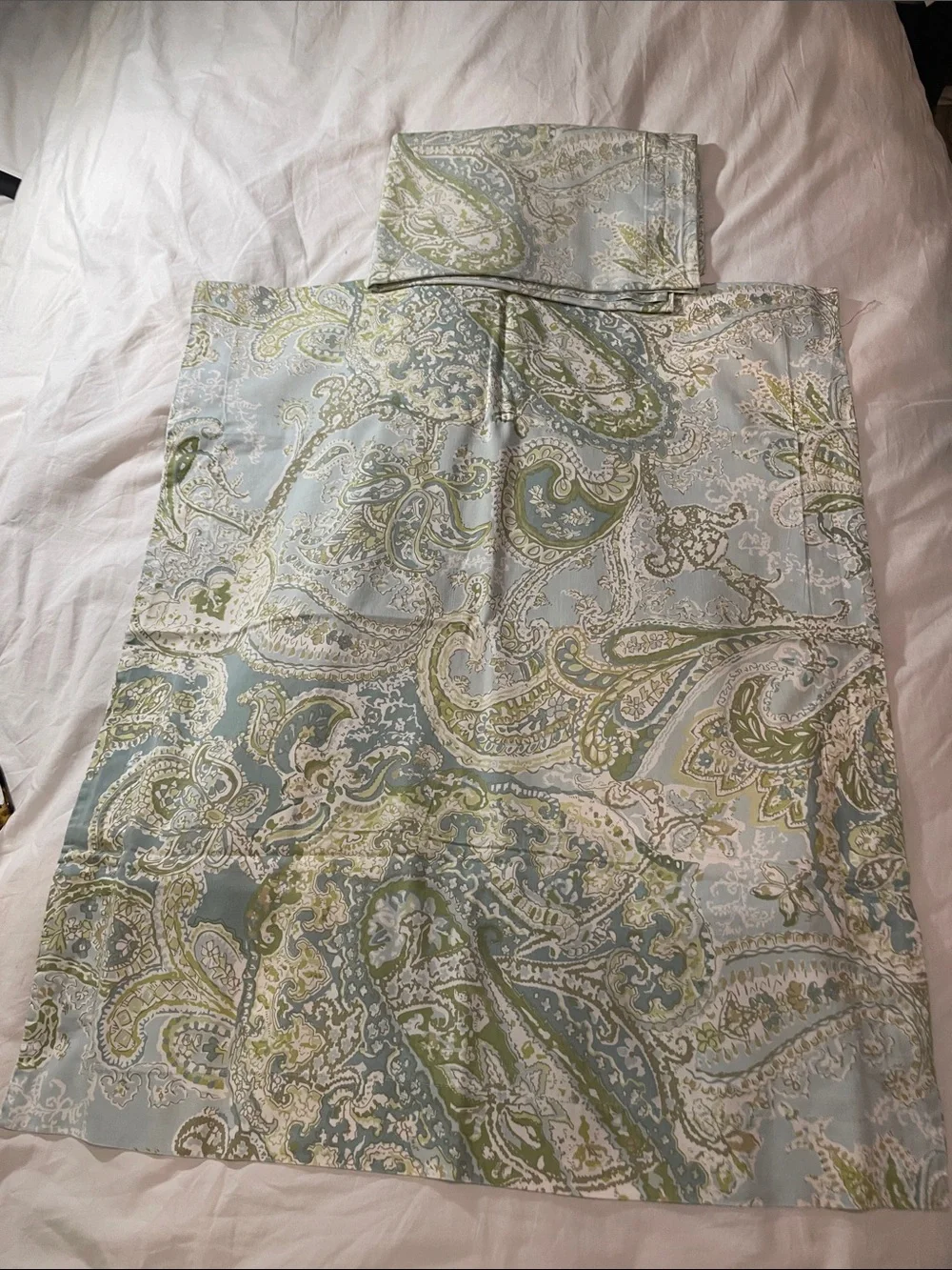 Pottery Barn 100% Cotton Blue and Green Paisley Decorative Pillow Shams